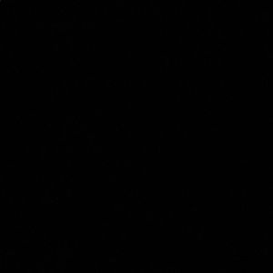 Meet your Posher, Kiran